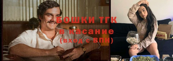 spice Осинники