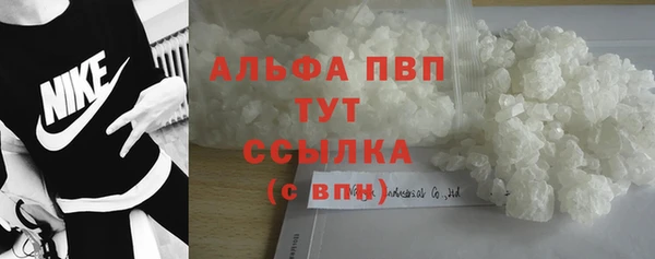spice Осинники
