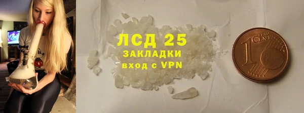spice Осинники