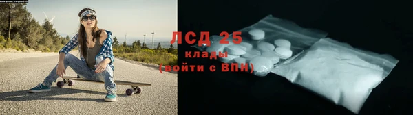 spice Осинники