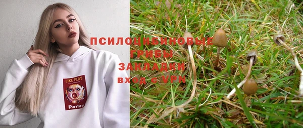 мяу мяу мука Осташков