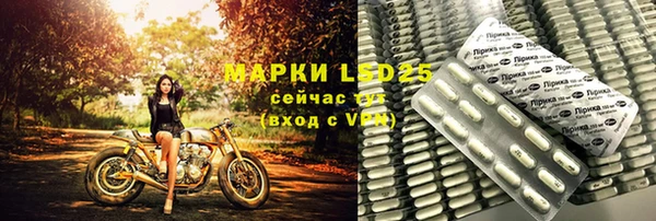 spice Осинники