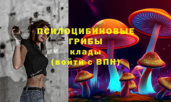 spice Осинники