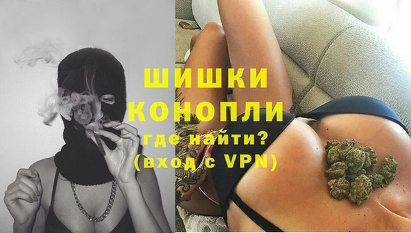 spice Осинники