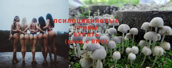 spice Осинники