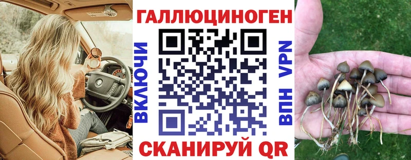 Псилоцибиновые грибы ЛСД  мориарти официальный сайт  Нижнекамск  kraken маркетплейс 