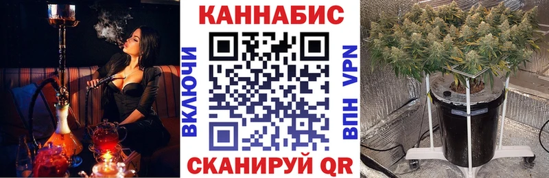 Бошки марихуана OG Kush  Нижнекамск 